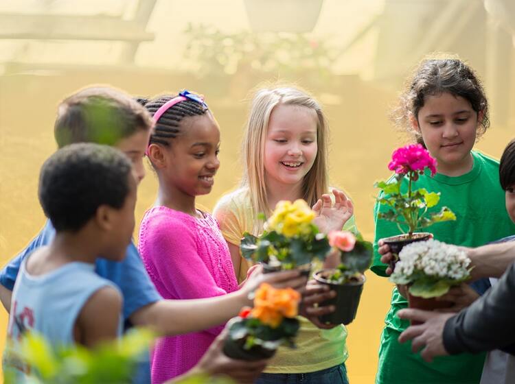 Image representing Satchel Pulse's Building Belonging